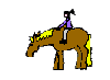 ponybucked.gif